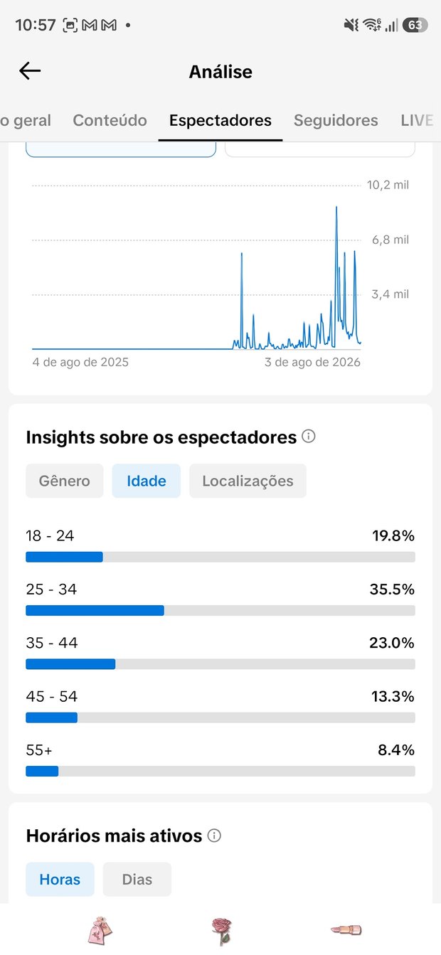 Insight TikTok